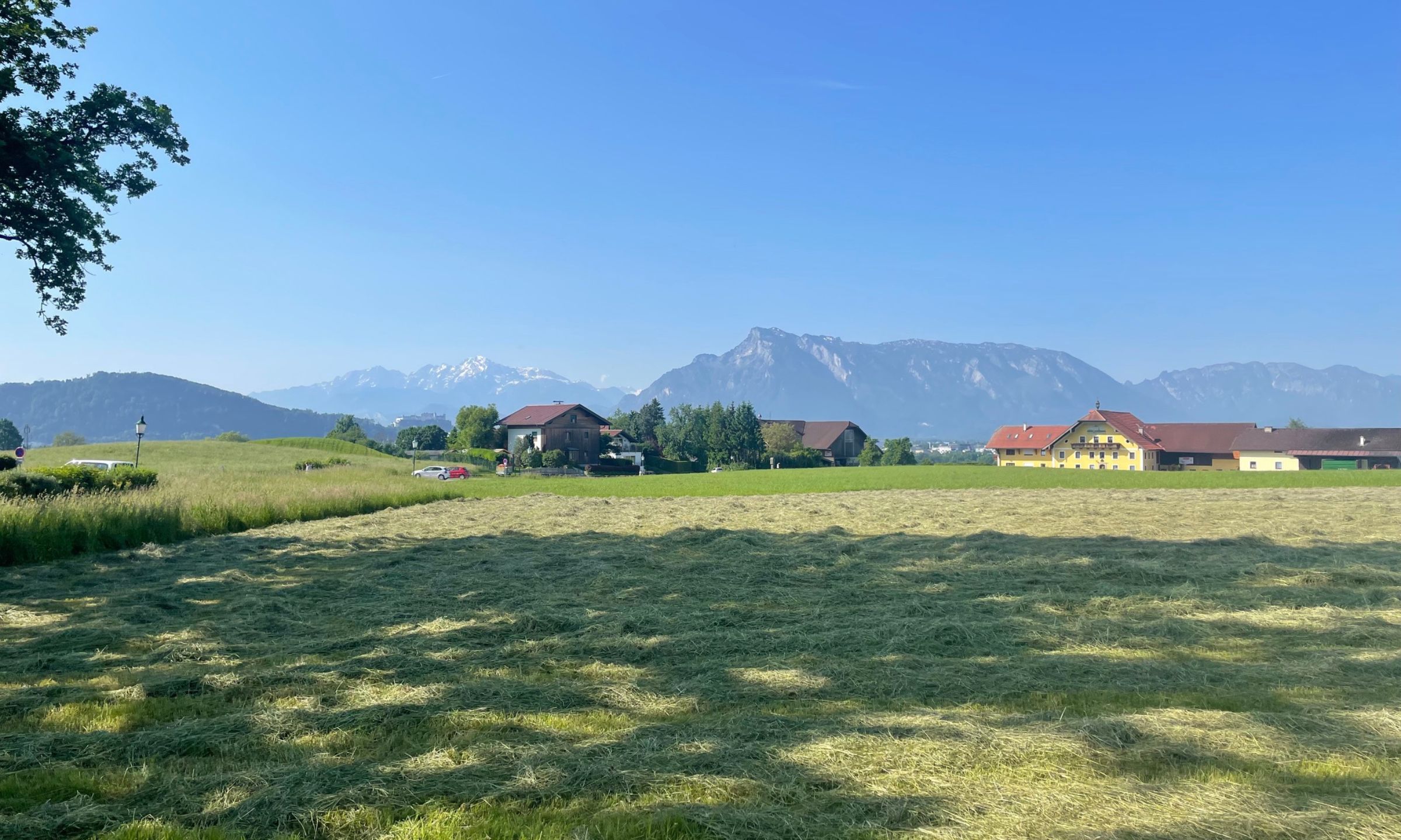 Alpine countryside near Salzburg with mountain views and green meadows.